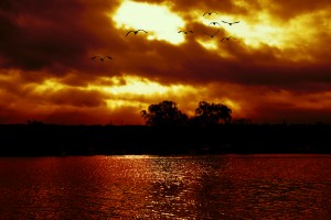Canal Sunrise
